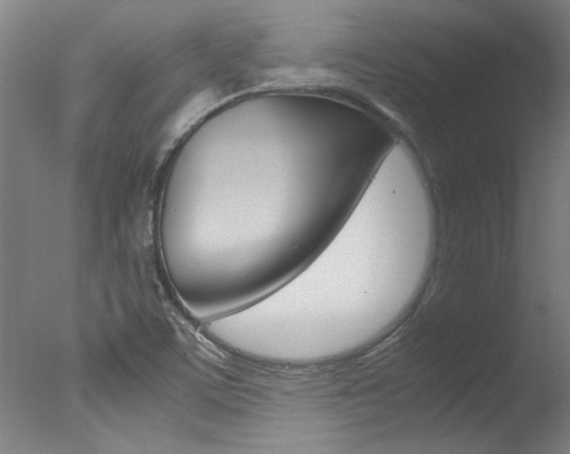 X0000078001459200610271000