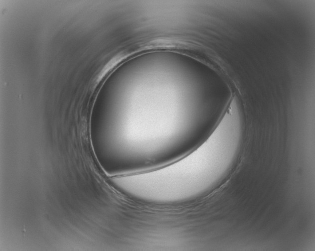 X0000078001465200610271000