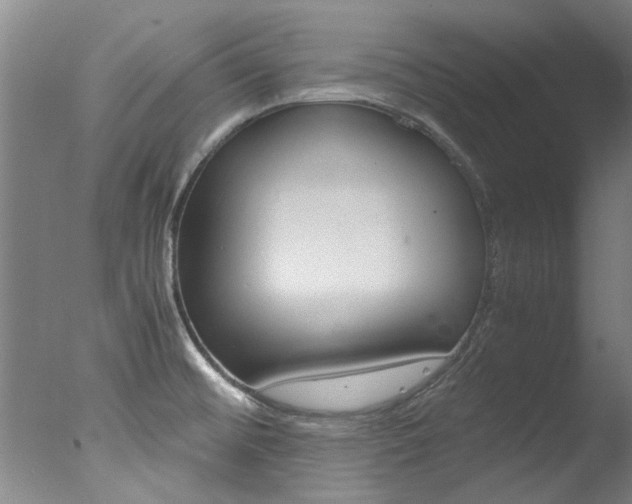 X0000078001476200610271000