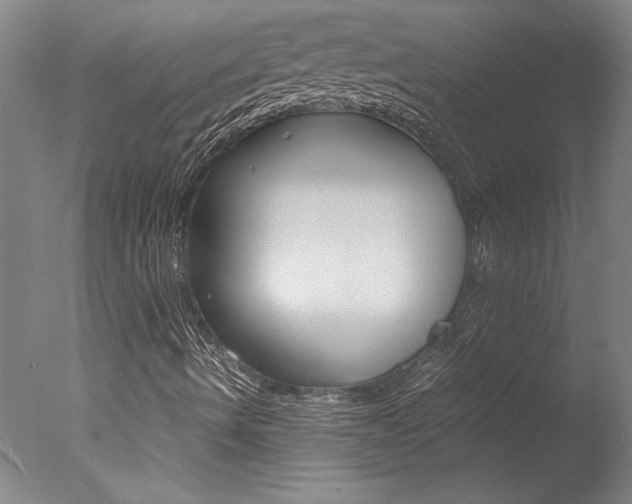 X0000078001490200610270959