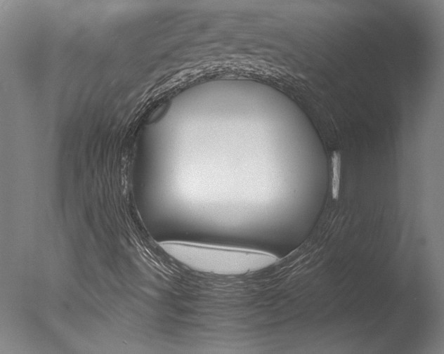 X0000078001491200610270959