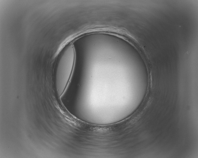 X0000078001501200610270959
