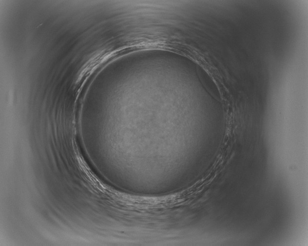 X0000078000002200610271148