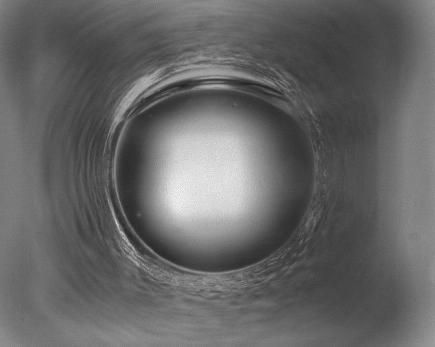 X0000078000003200610271148