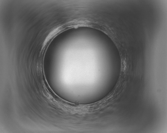 X0000078000004200610271148
