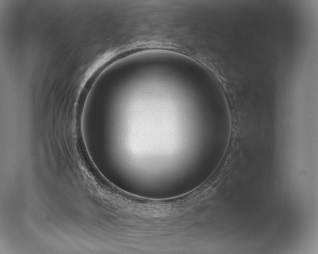 X0000078000008200610271148