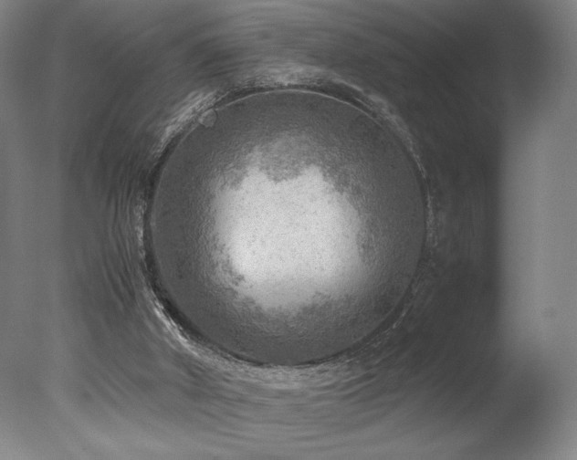X0000078000010200610271148