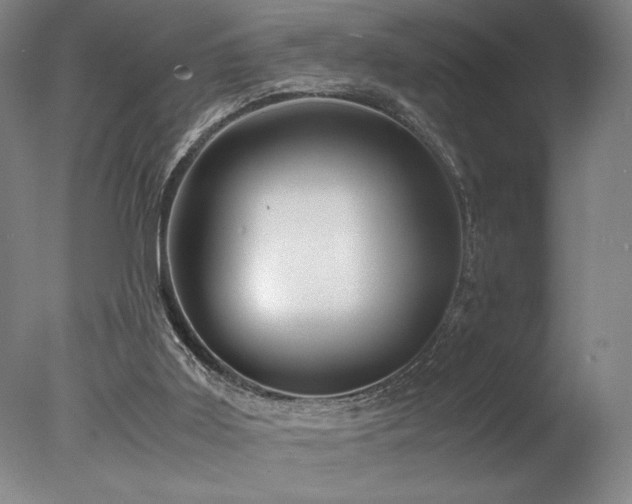 X0000078000011200610271148