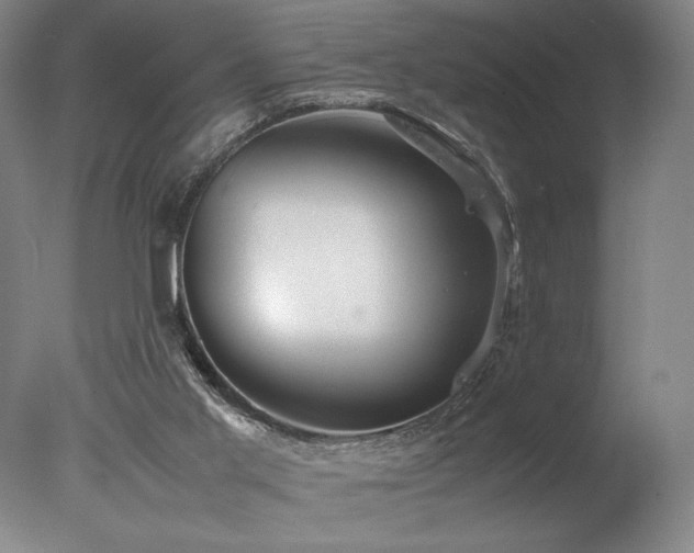 X0000078000013200610271148