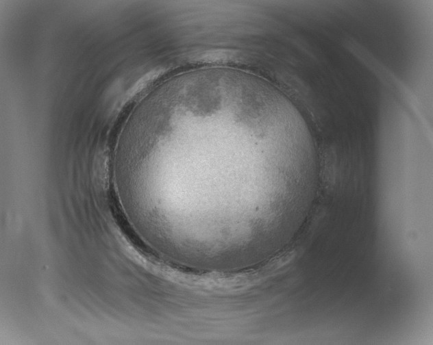 X0000078000016200610271148