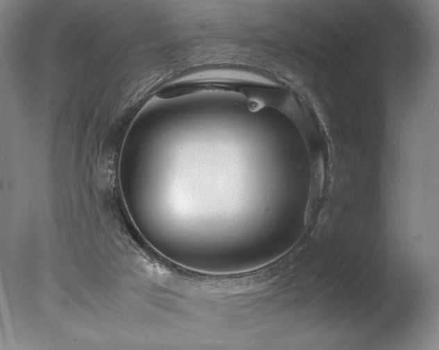 X0000078000017200610271148