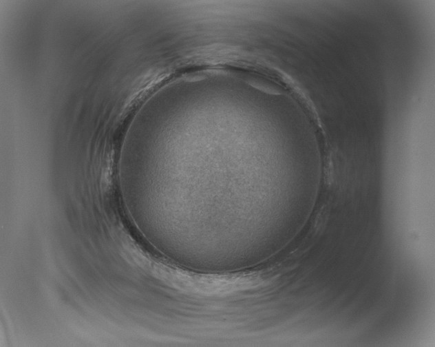 X0000078000018200610271148
