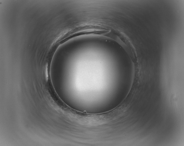 X0000078000020200610271148