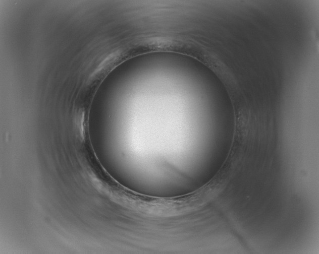 X0000078000024200610271148