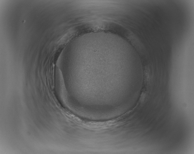 X0000078000029200610271148