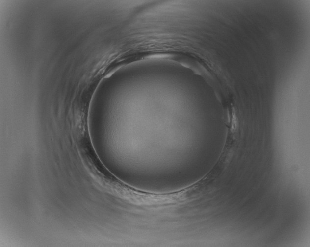 X0000078000031200610271148