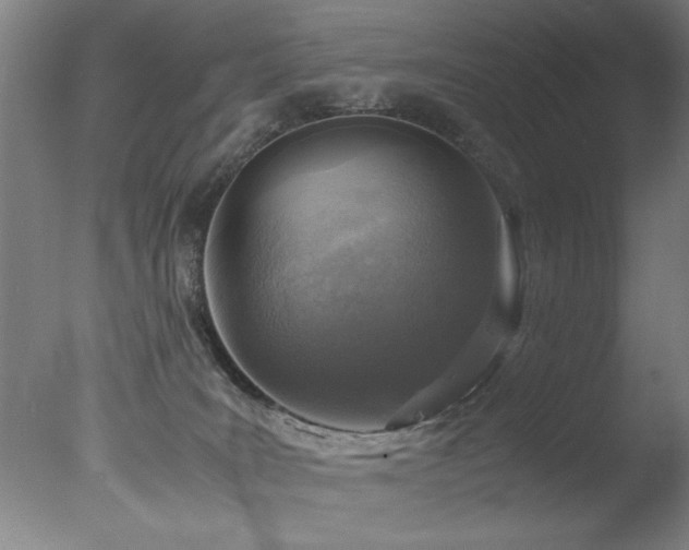 X0000078000035200610271148