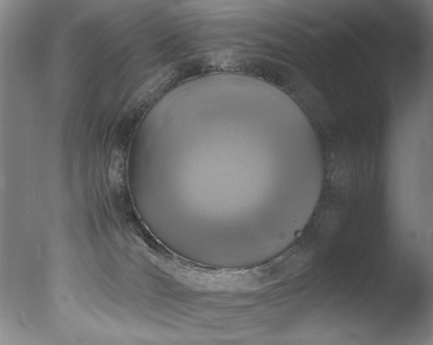 X0000078000036200610271148
