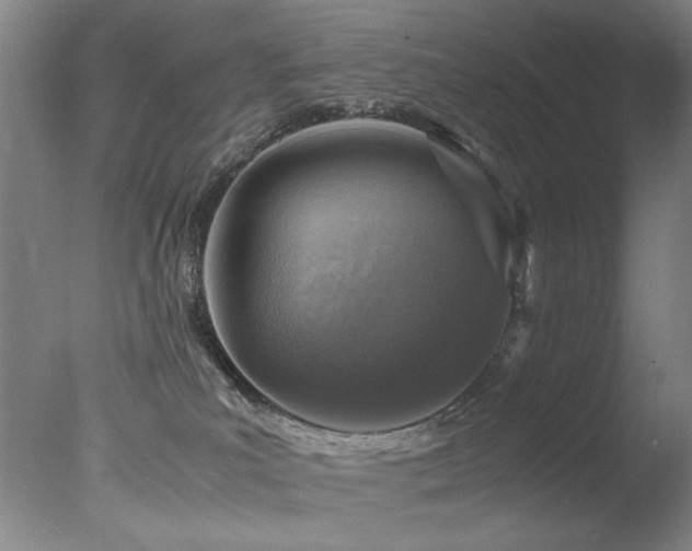 X0000078000039200610271148