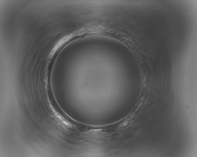 X0000078000054200610271147