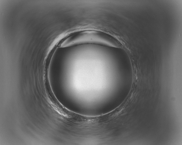 X0000078000056200610271147