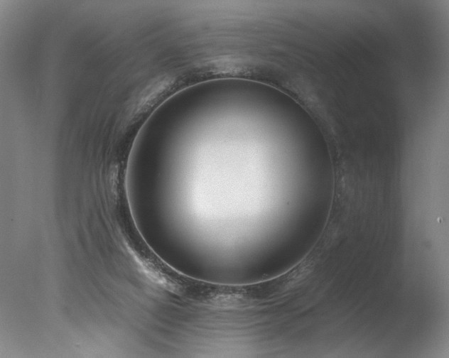 X0000078000066200610271147