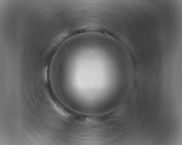 X0000078000070200610271147