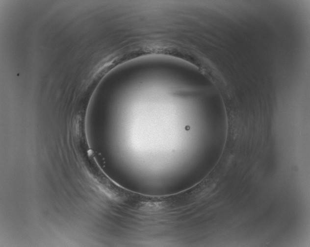 X0000078000071200610271147