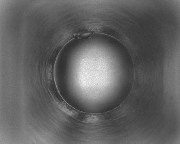 X0000078000083200610271147