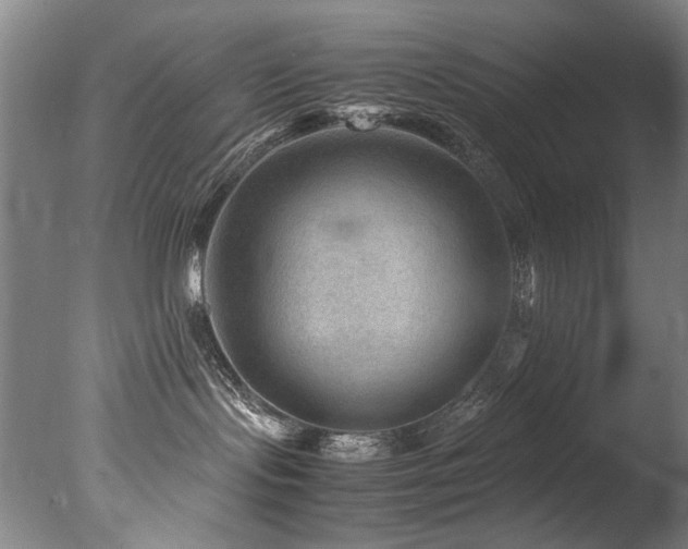 X0000078000095200610271148