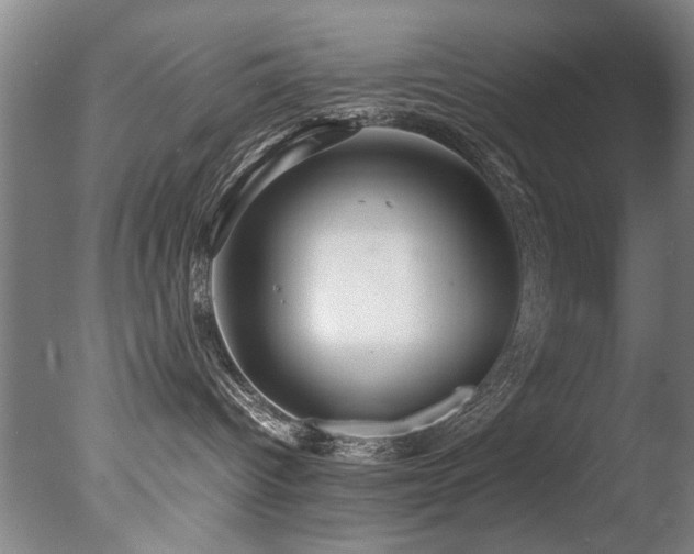 X0000078000096200610271148