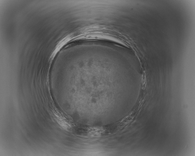 X0000078000099200610271147