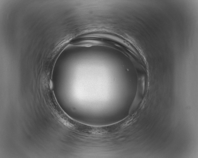 X0000078000105200610271147