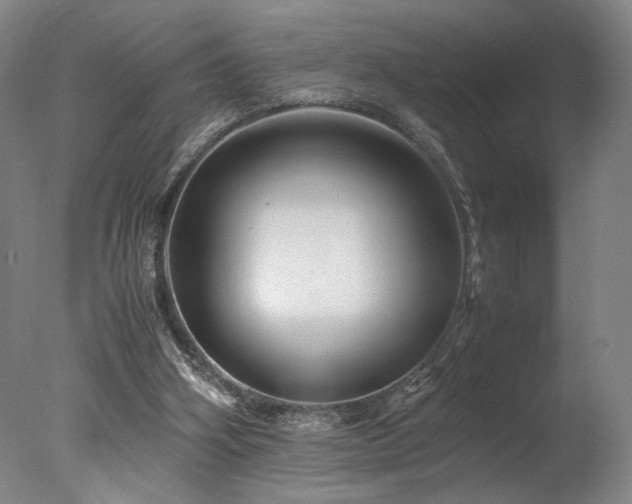 X0000078000106200610271147