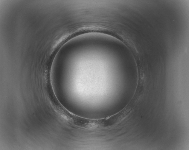 X0000078000111200610271147