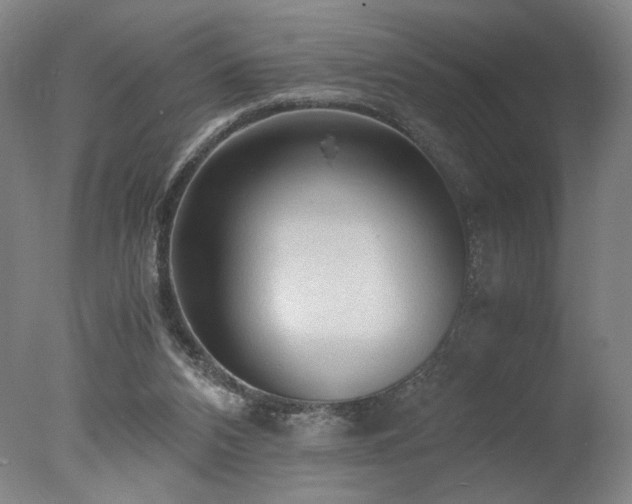X0000078000112200610271147