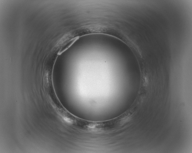 X0000078000117200610271146