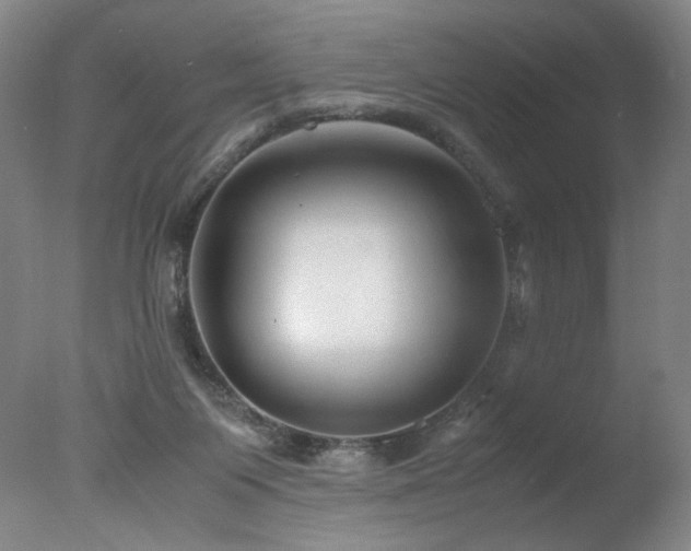 X0000078000119200610271146