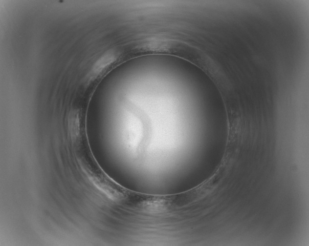 X0000078000120200610271146