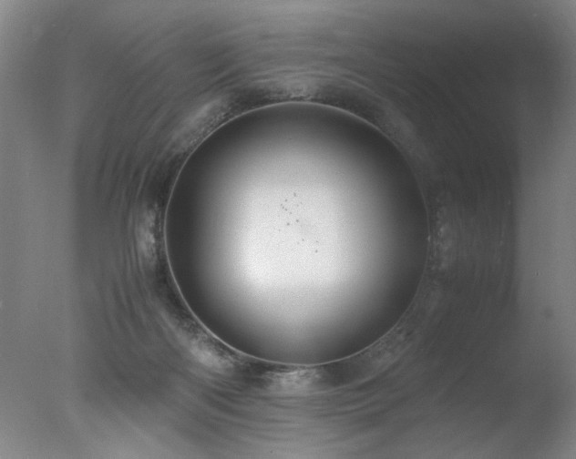 X0000078000122200610271146