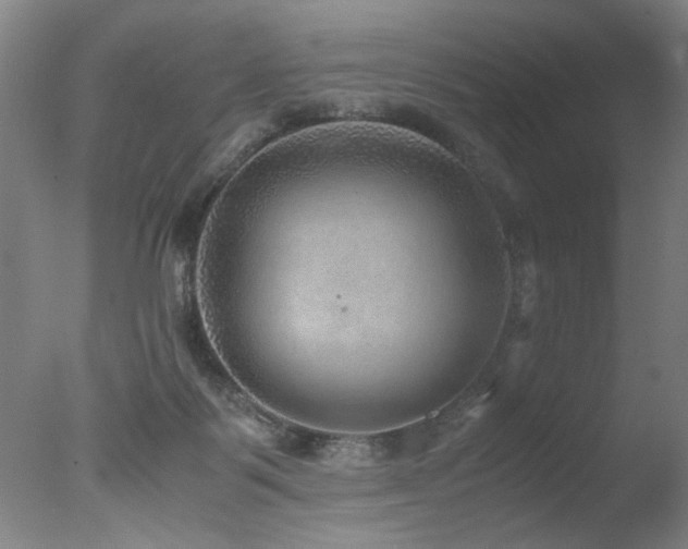 X0000078000123200610271146
