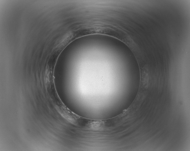 X0000078000126200610271146