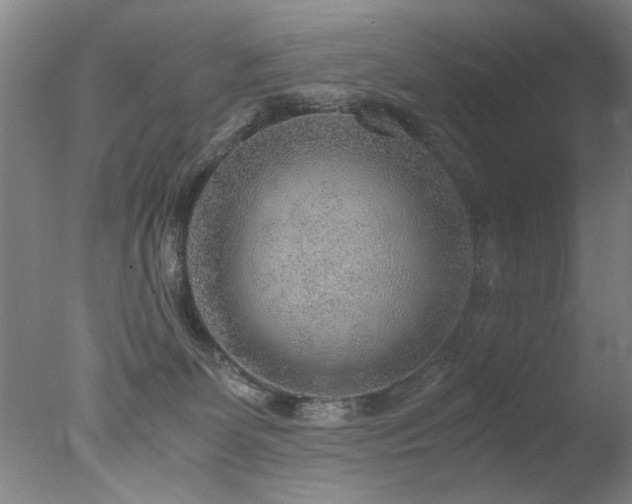 X0000078000131200610271146