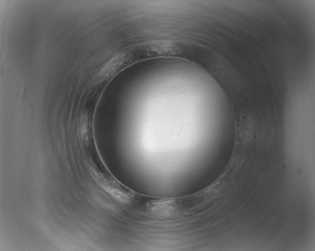 X0000078000132200610271146