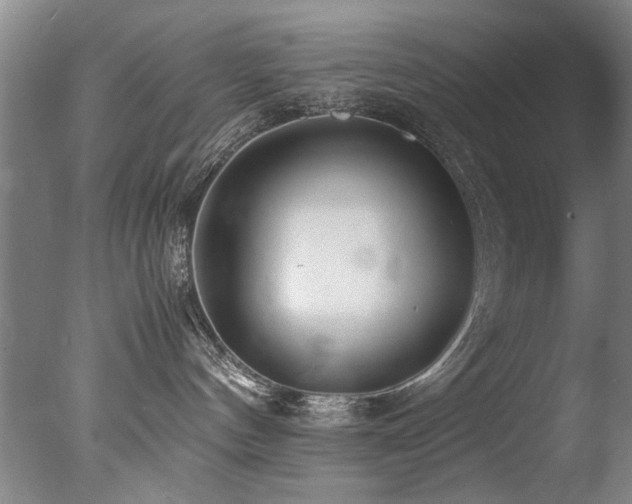 X0000078000144200610271146