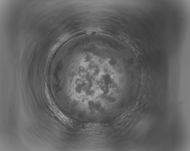 X0000078000145200610271145