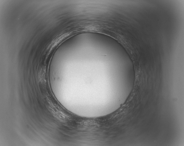 X0000078000146200610271145