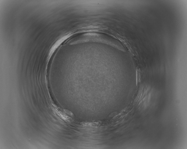 X0000078000147200610271145