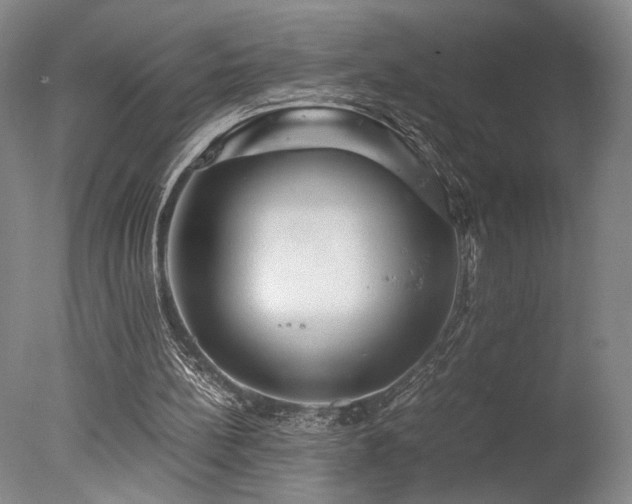X0000078000148200610271145