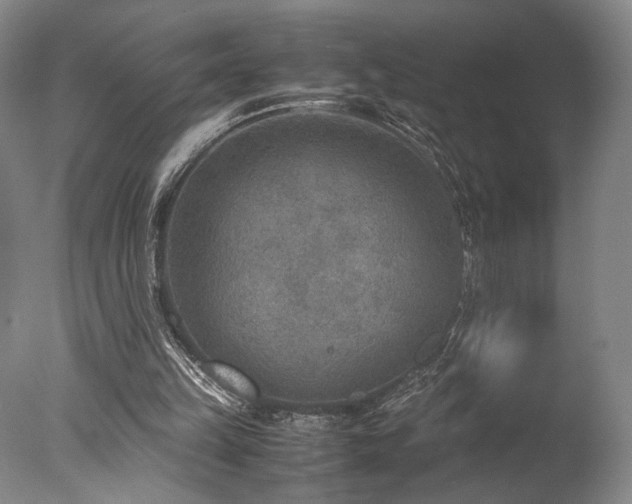 X0000078000149200610271145